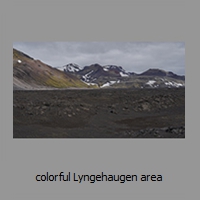 colorful Lyngehaugen area